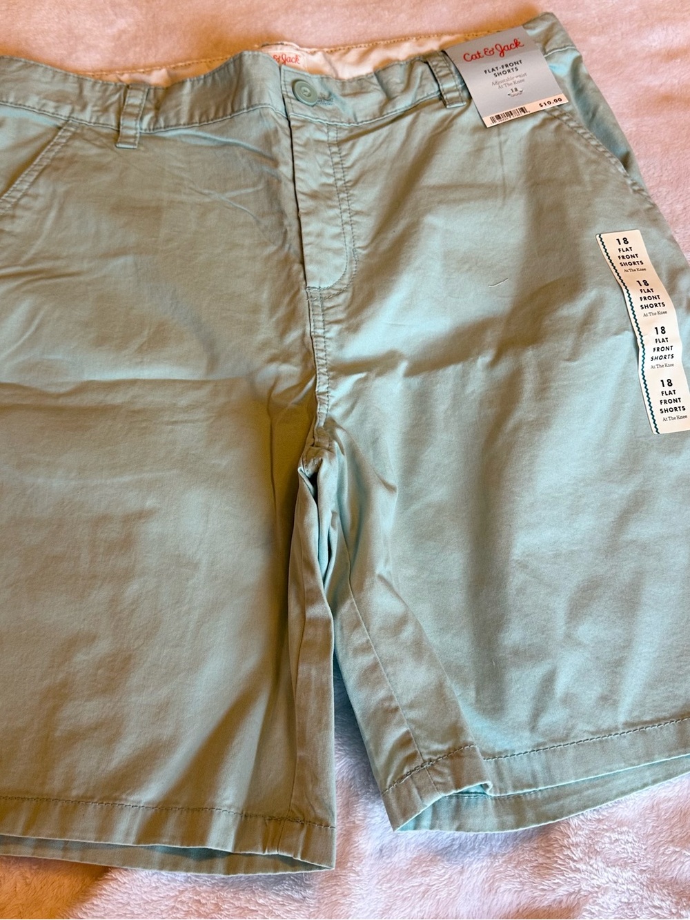 Cat & Jack Men's Mint Green Flat Front Shorts